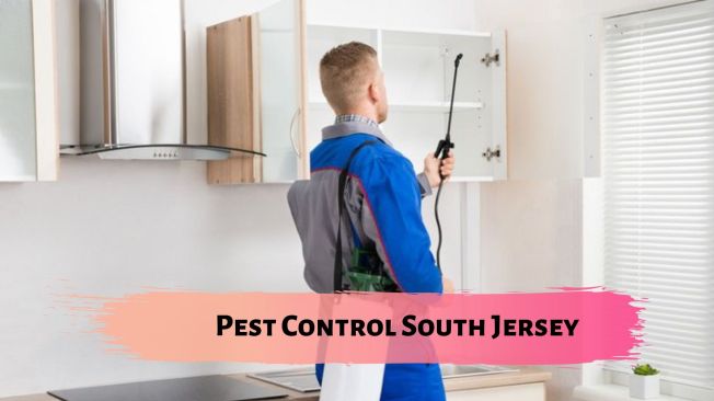 pest control south jersey